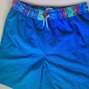 Vibrant Blue Kids Swim Trunks
